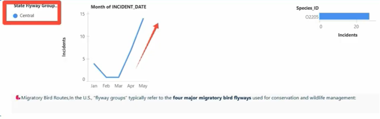 A clear view of Tableau metrics displaying bar charts for flight phases (approach, landing) and bird size distributions (small vs. large).